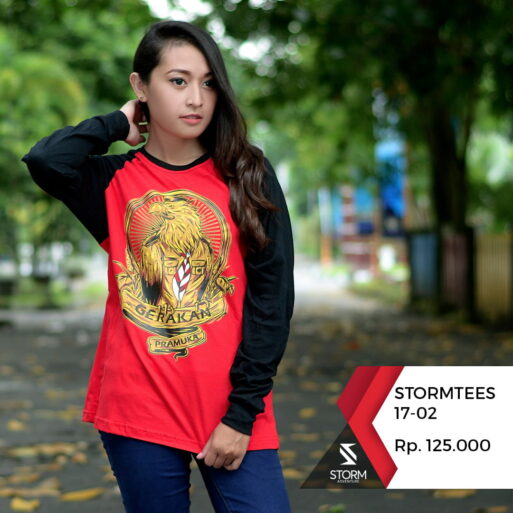 Stormtees 17-02