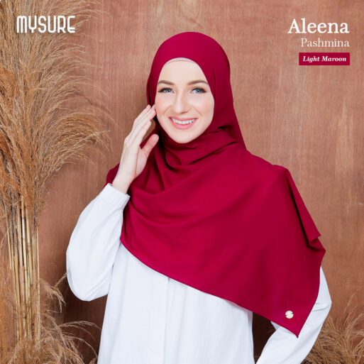 Aleena Pashmina - Bold Colour