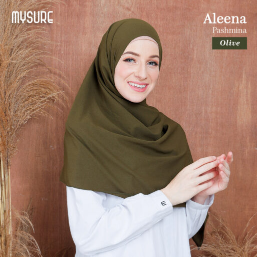 Aleena Pashmina