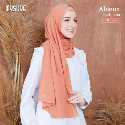 Aleena Pashmina